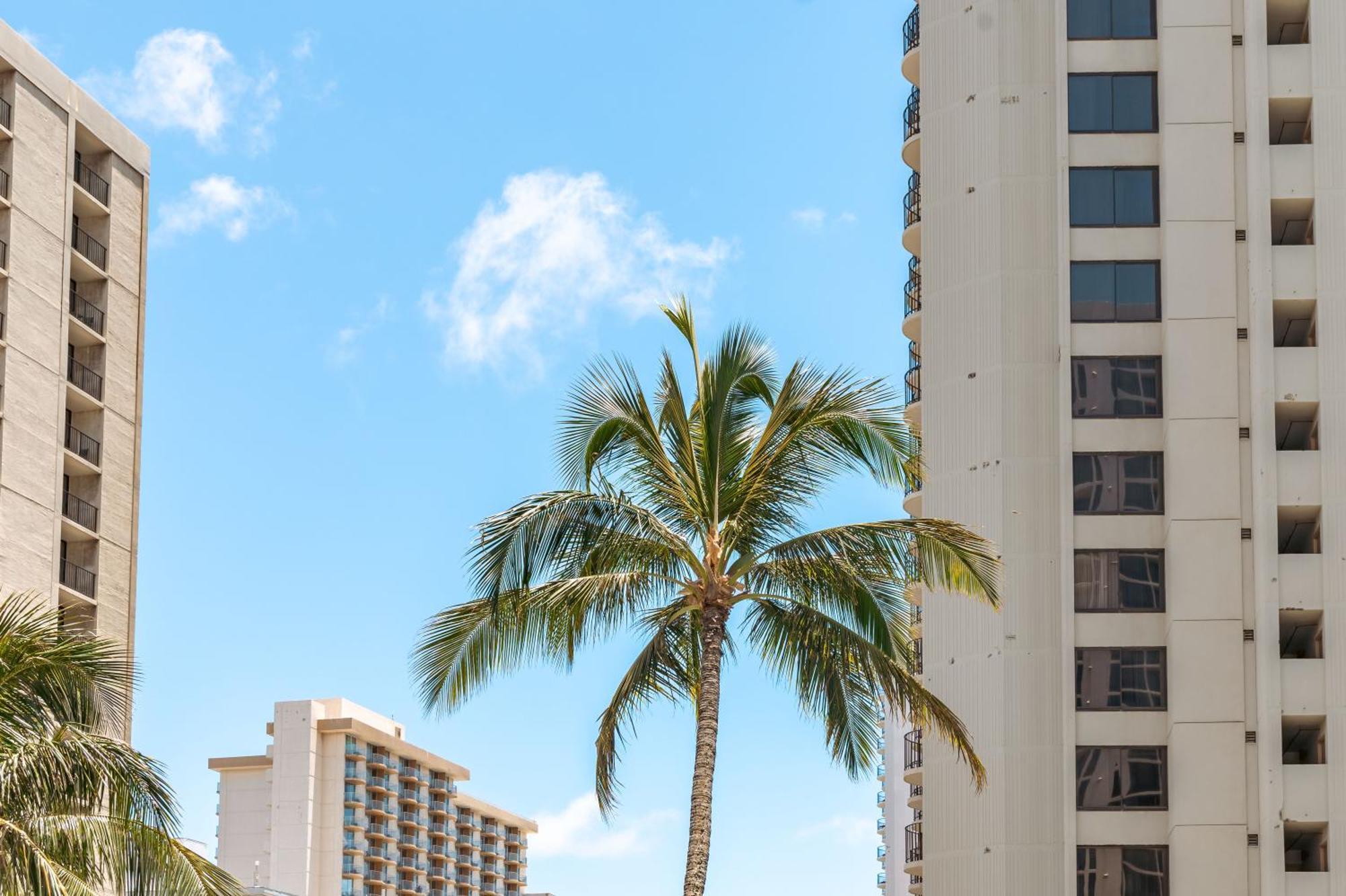 Aloha Vibes With Ocean Views, Near Beach & Parking! Honolulu Buitenkant foto